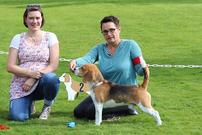 1harleyLG Hanse Sept 17 367