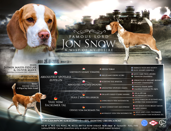 Famous Lord Jon Snow A Wisp of my Desire - Johnny 2019.pngklein