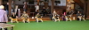 Lineup Offene Klasse